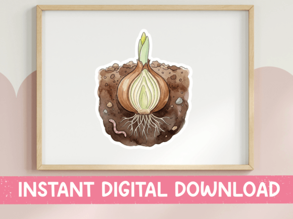 Download Daffodil Bulb Growing Underground - Premium Bundle